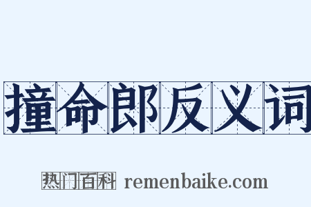 撞命郎反义词是什么意思的图片